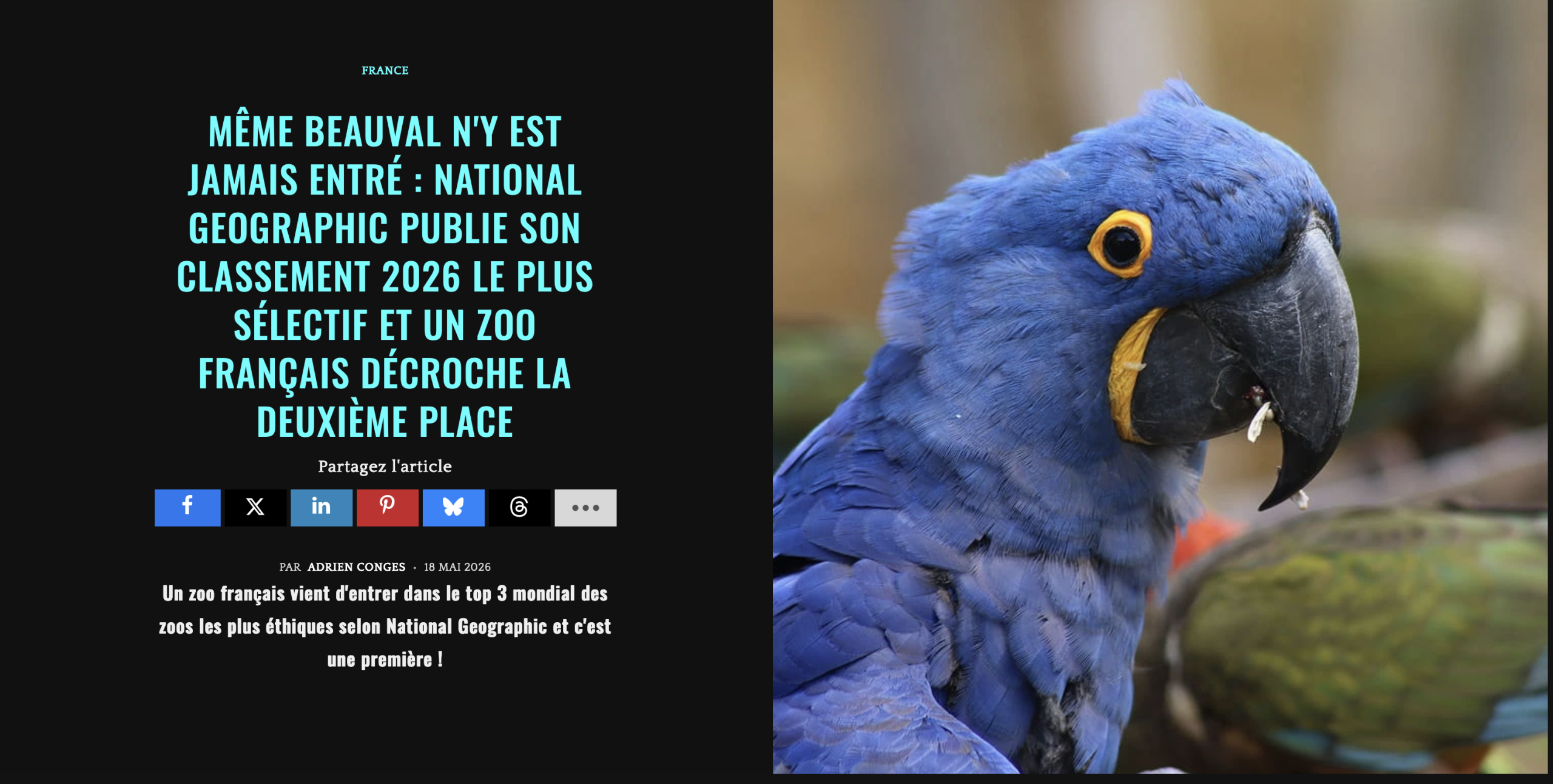 Que faire à Doué-la-Fontaine et ses environs ? Le Bioparc